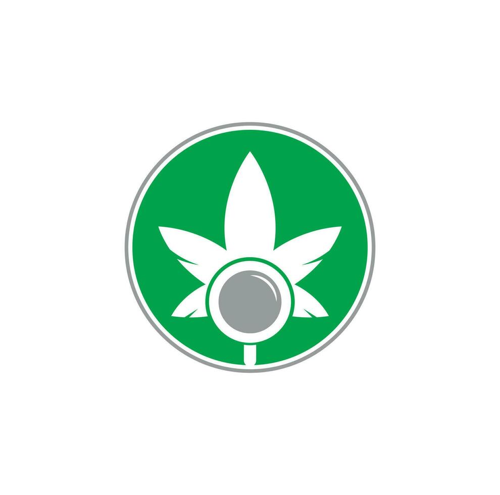 plantilla de vector de diseño de logotipo de búsqueda de cannabis. combinación de logo de hoja de marihuana y lupa. cáñamo y símbolo o icono de lupa.