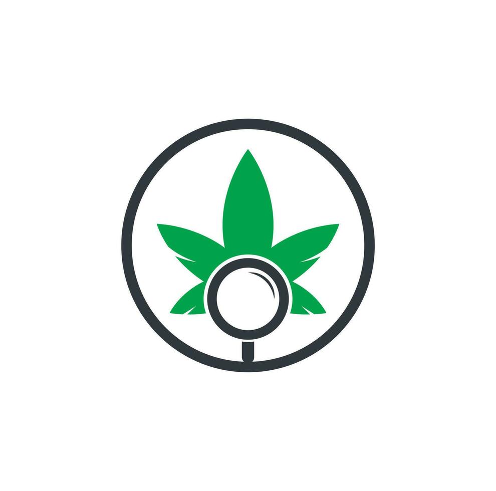 plantilla de vector de diseño de logotipo de búsqueda de cannabis. combinación de logo de hoja de marihuana y lupa. cáñamo y símbolo o icono de lupa.