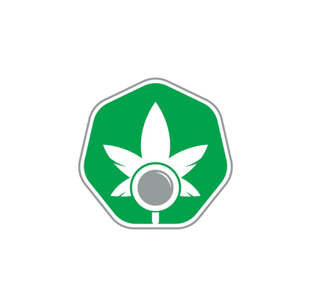 Cannabis Search logo design vector template. Marijuana leaf and loupe logo combination. Hemp and magnifying symbol or icon.