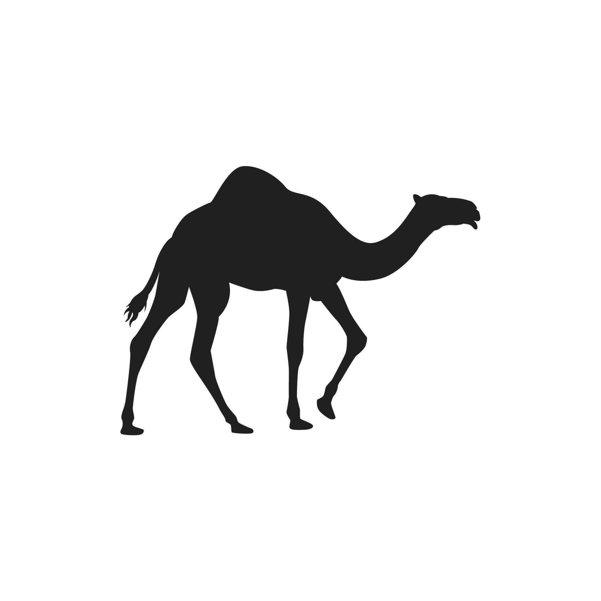 Camel icon silhouette vector illustration isolated on white background