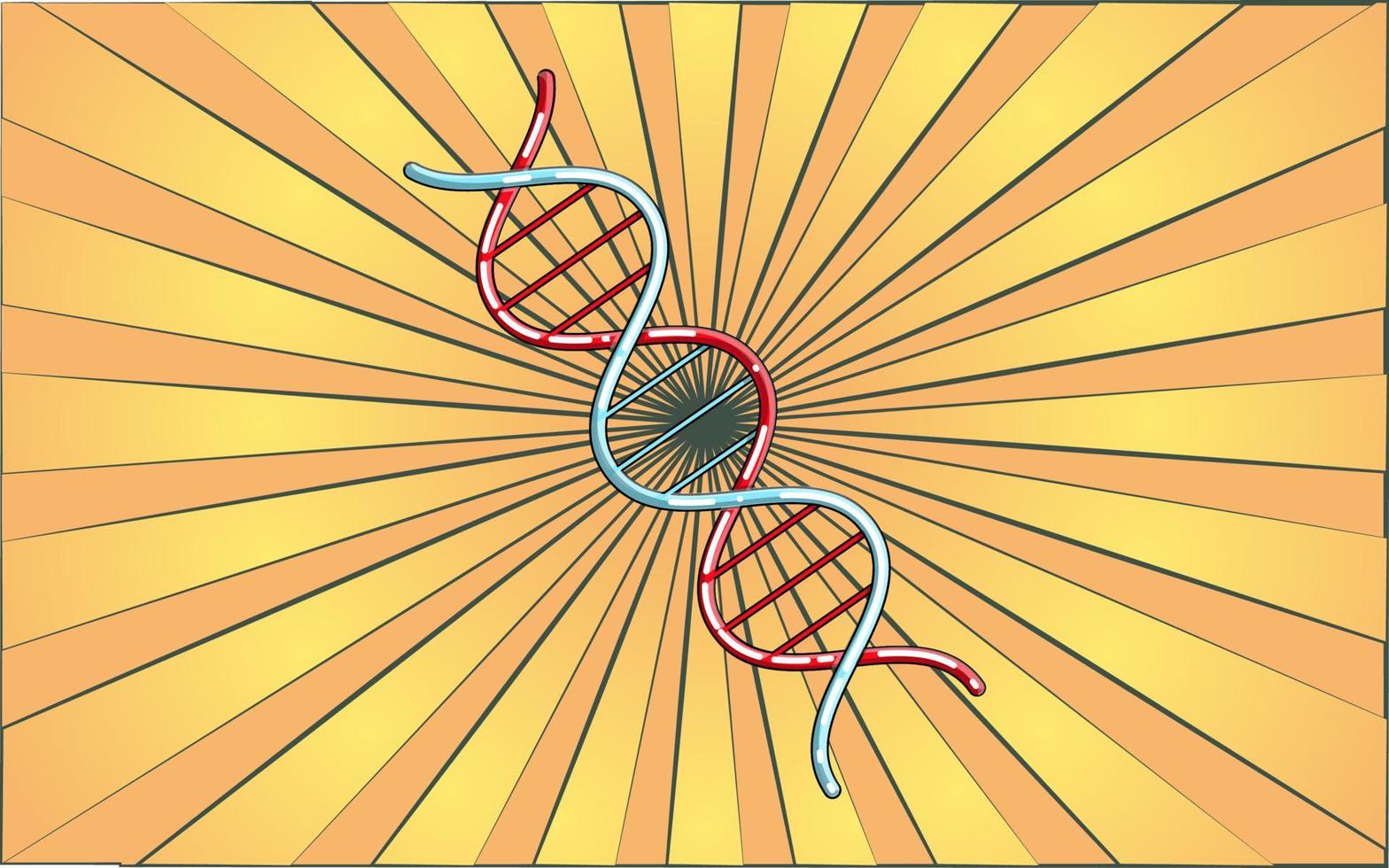 Medical scientific spiral gene dna molecule on the background of abstract yellow rays. Vector illustration