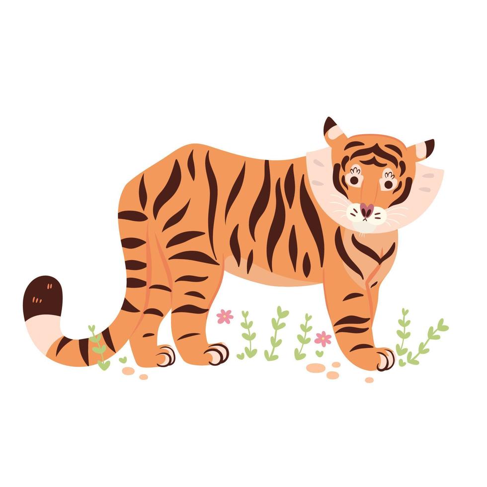 Cute cartoon tiger isolated on white background. Vector graphics.