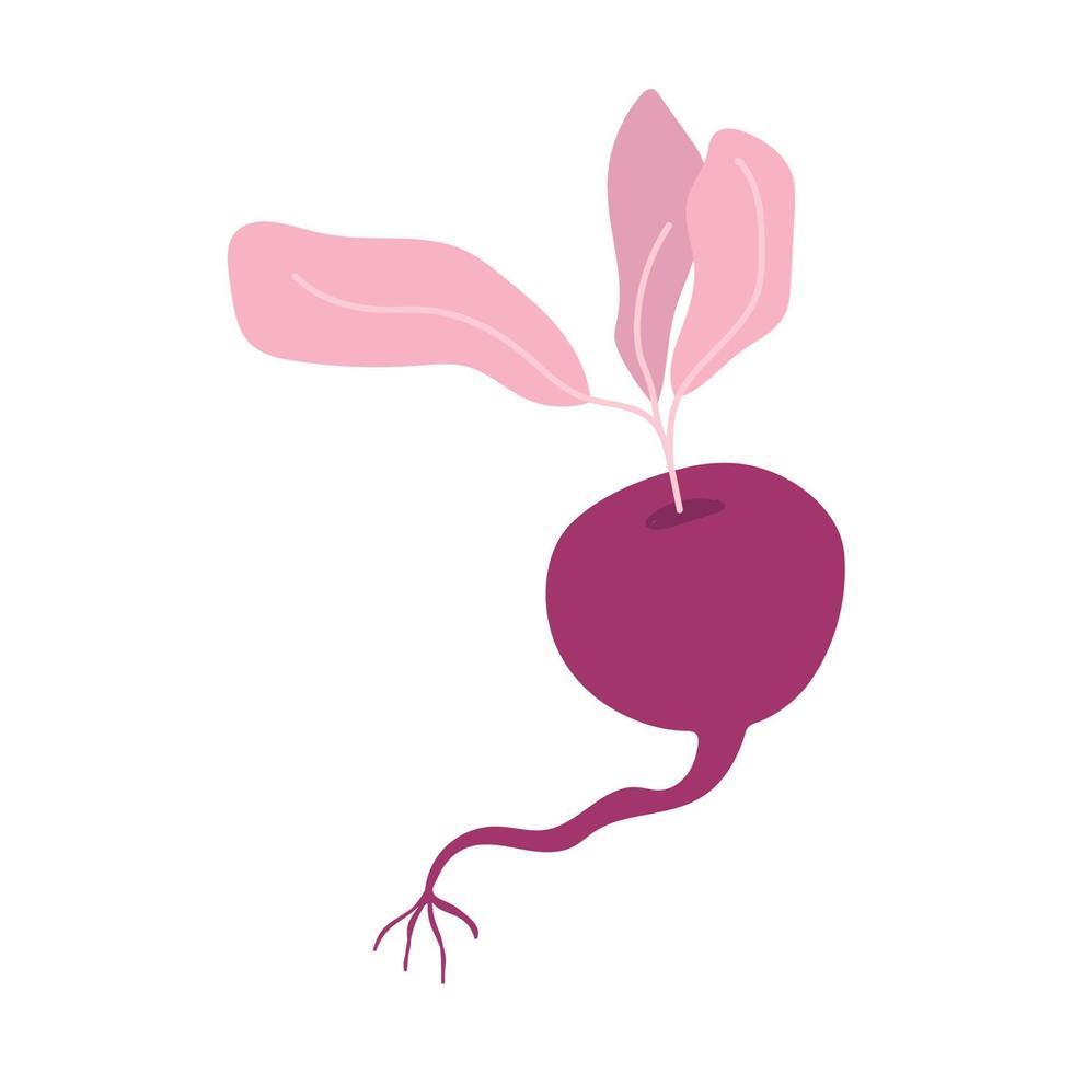 radish fresh vegetable food isolated design icon white background vector