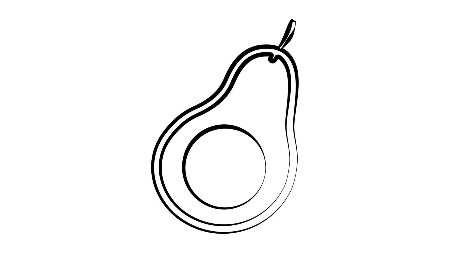 vector illustration. avocado in black and white style. food for a healthy lifestyle. avocado with a bone inside, drawing in the form of a pencil outline