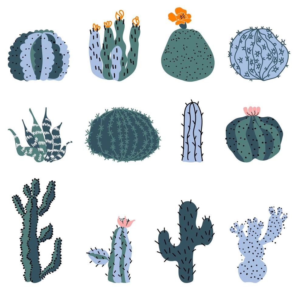 Cactus set. Vector desert plants on white background.