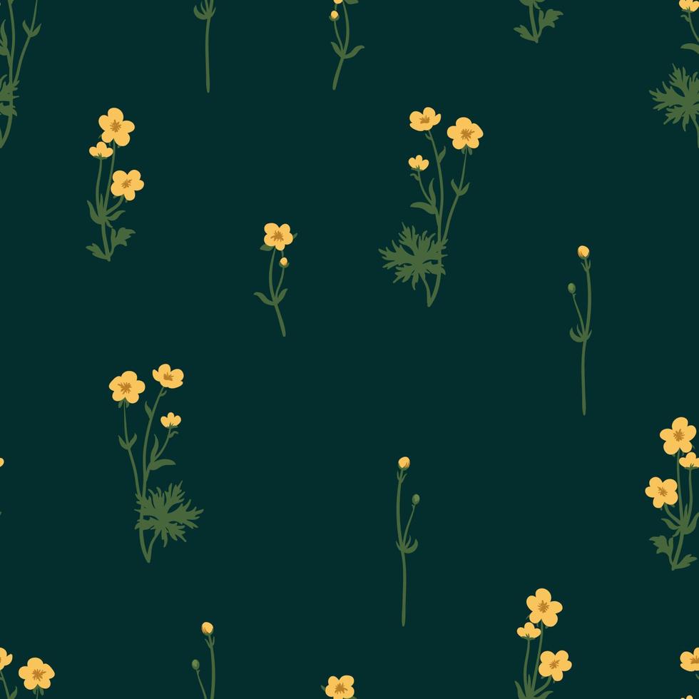 Buttercups vector seamless pattern. Summer yellow wildflowers floral background.