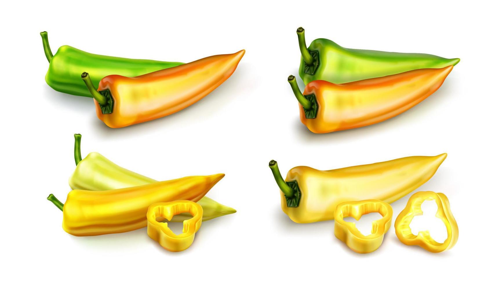 Yellow chili pepper, hot spicy paprika cayenne vector