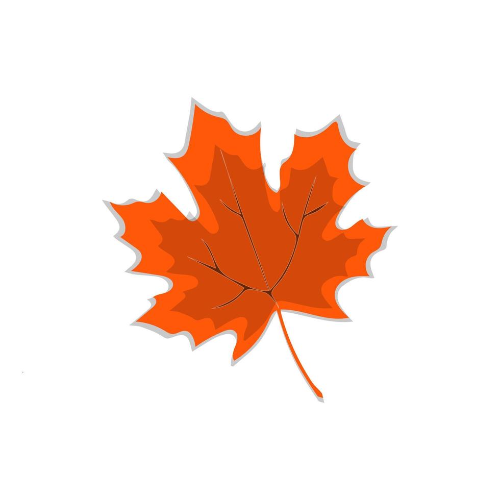 Autumn leaves isolated on white background vector