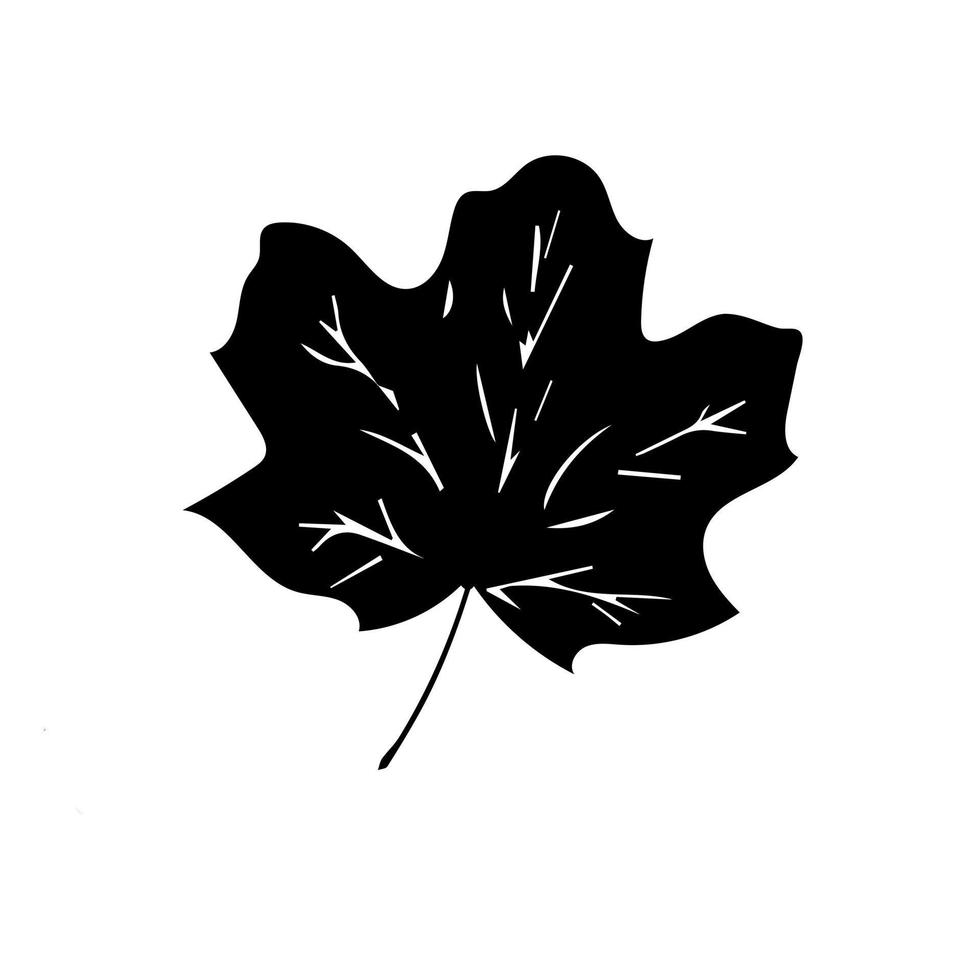 Autumn leaves icons outline. Autumn leaves isolated on white background. vector