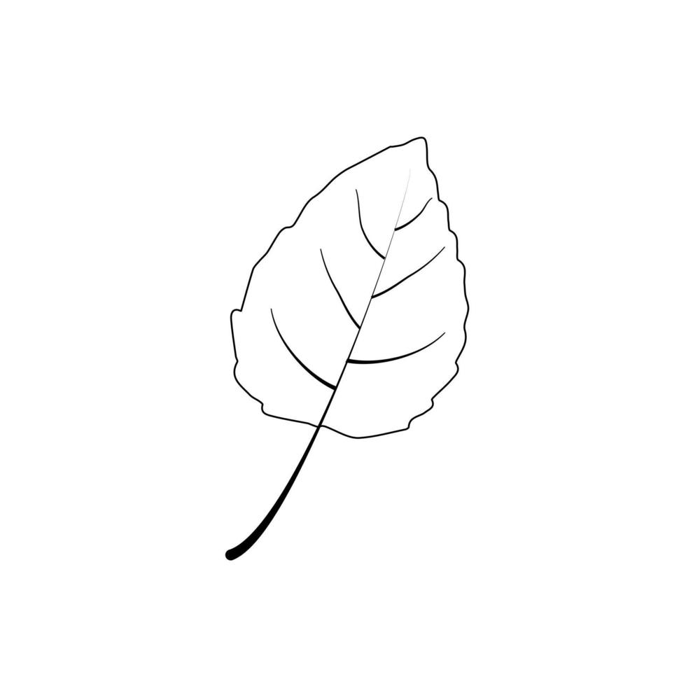Autumn leaves icons outline. Autumn leaves isolated on white background. vector