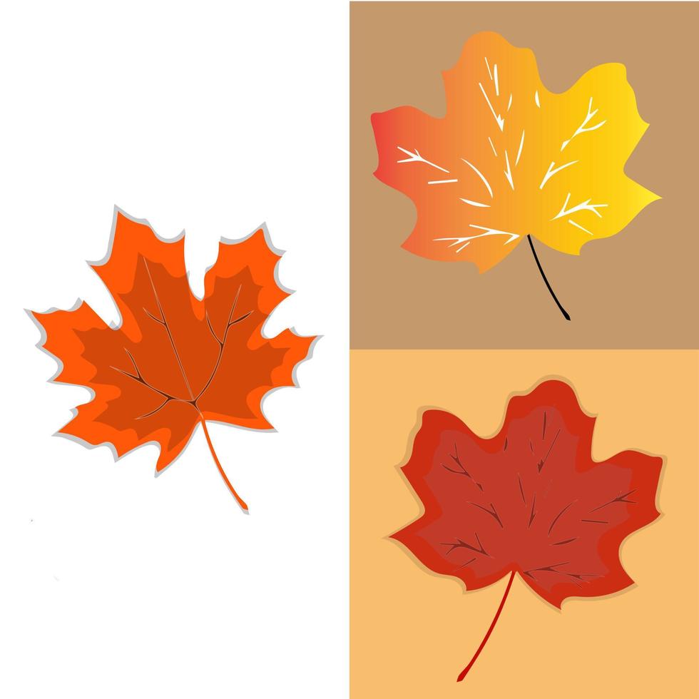 hojas de otoño aisladas sobre fondo blanco vector