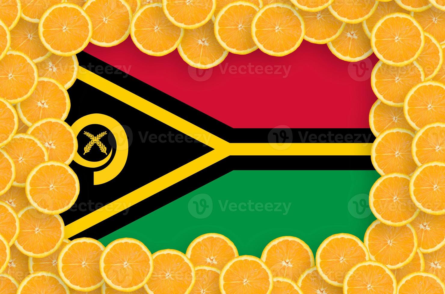 Vanuatu flag  in fresh citrus fruit slices frame photo