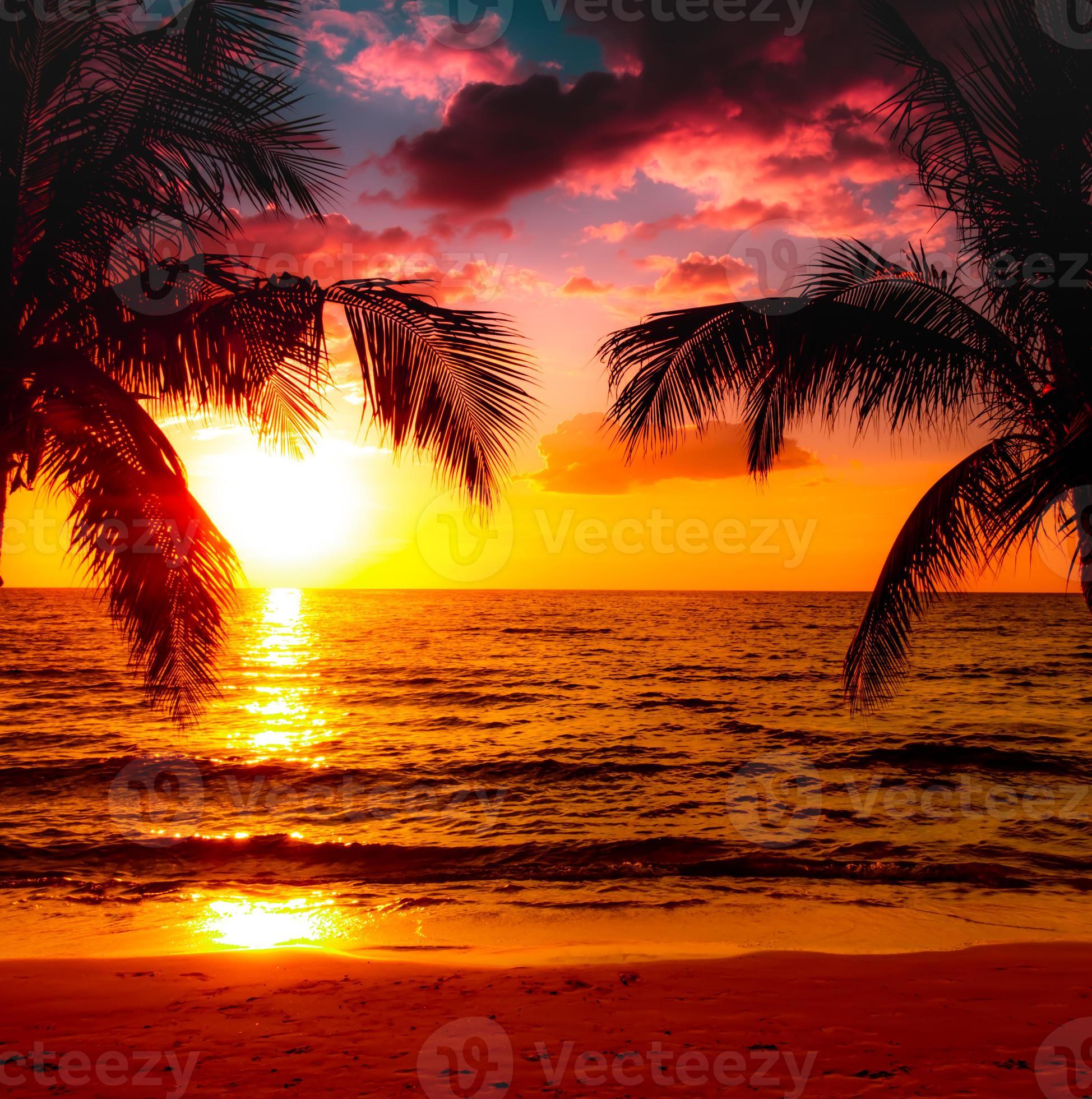 Beautiful sunset tropical beach with palm tree and pink sky for travel ...