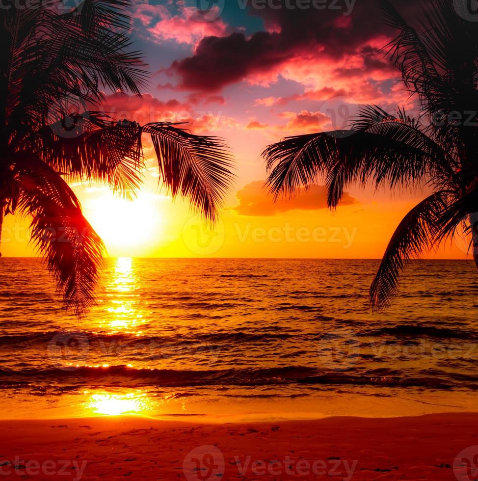 Beautiful sunset tropical beach with palm tree and pink sky for travel and vacation in holiday relax time photo