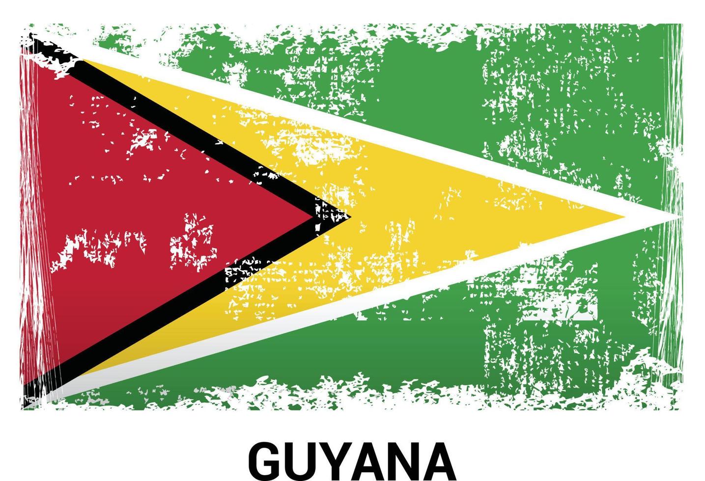 Guyana flag design vector
