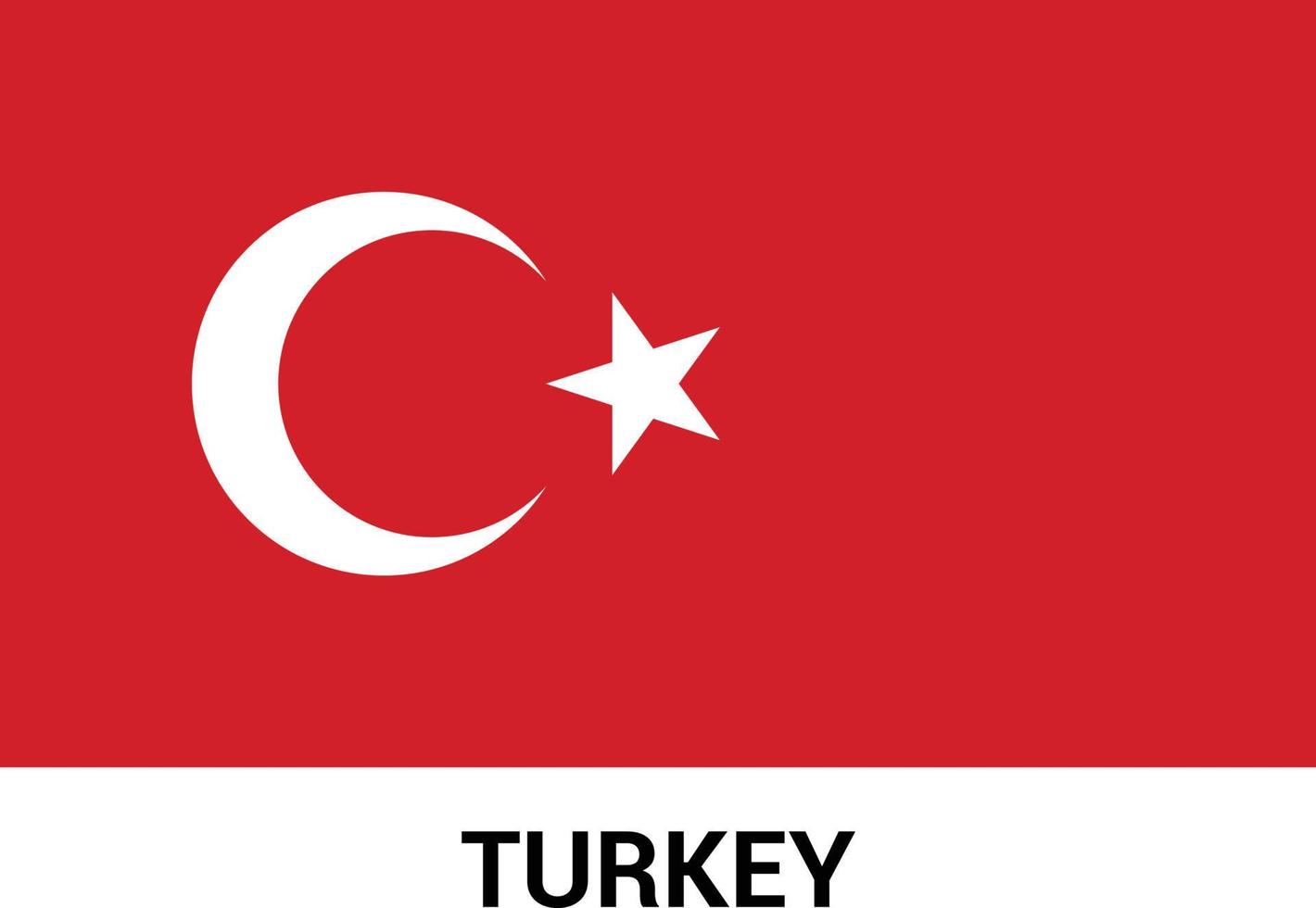 Turkey Independence day design card vector