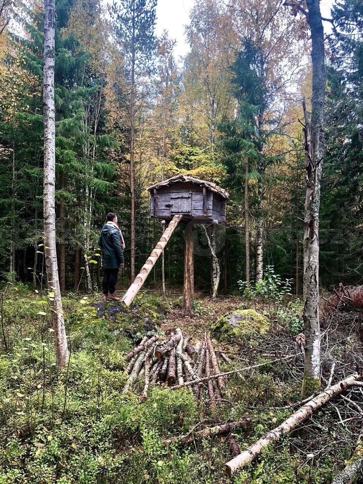 Little wooden treehouse at Umea photo