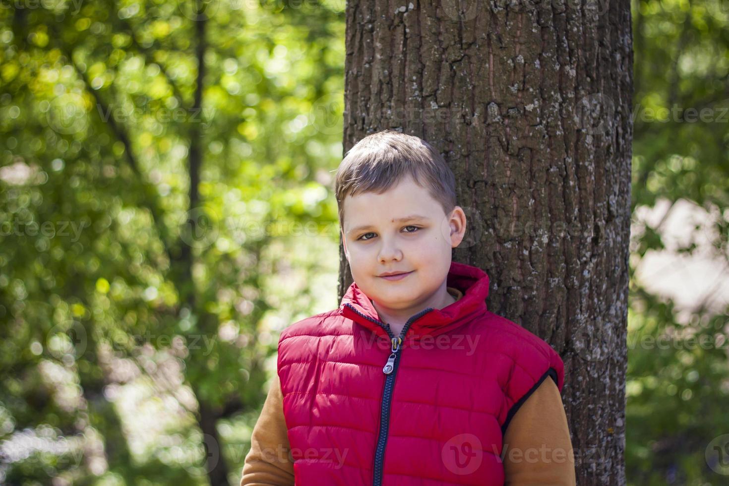 Portrait of a boy in the forest in spring. Take a walk in the green park in the fresh air. The magical light from the sun's rays is left behind. Space for copying. Selective focus. photo