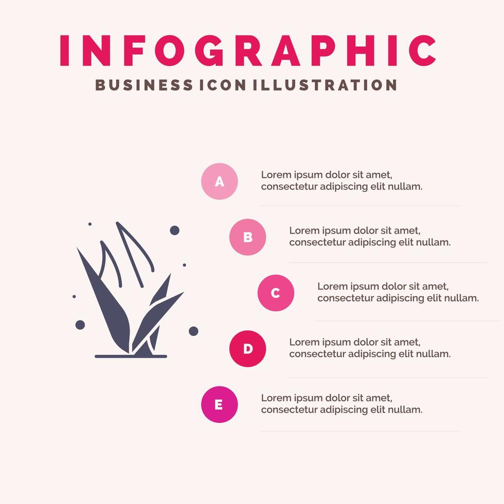 Bottle Game Recreation Sports Thermo Solid Icon Infographics 5 Steps Presentation Background vector