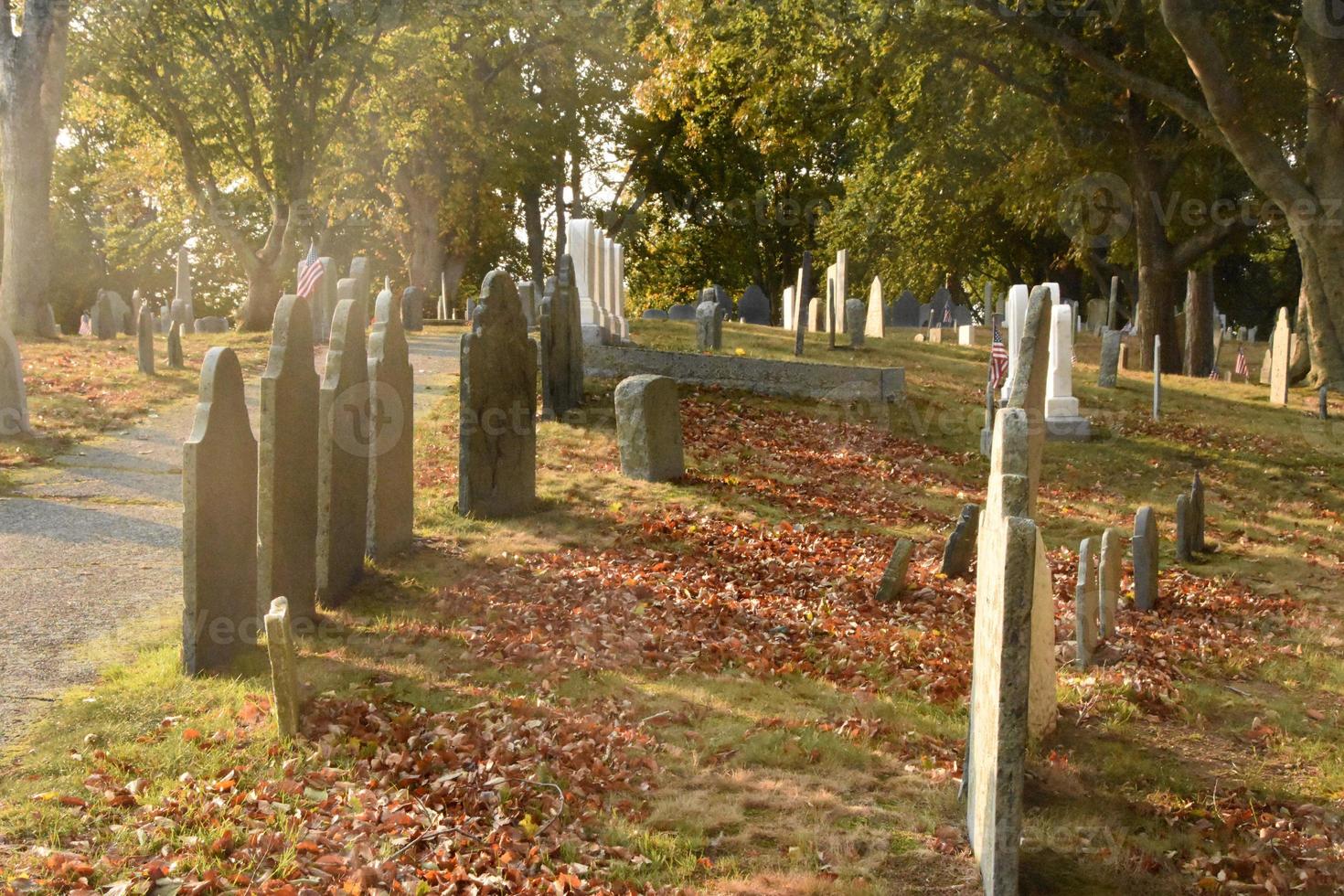 Old Gravestones in a Cemetery in Autumn photo