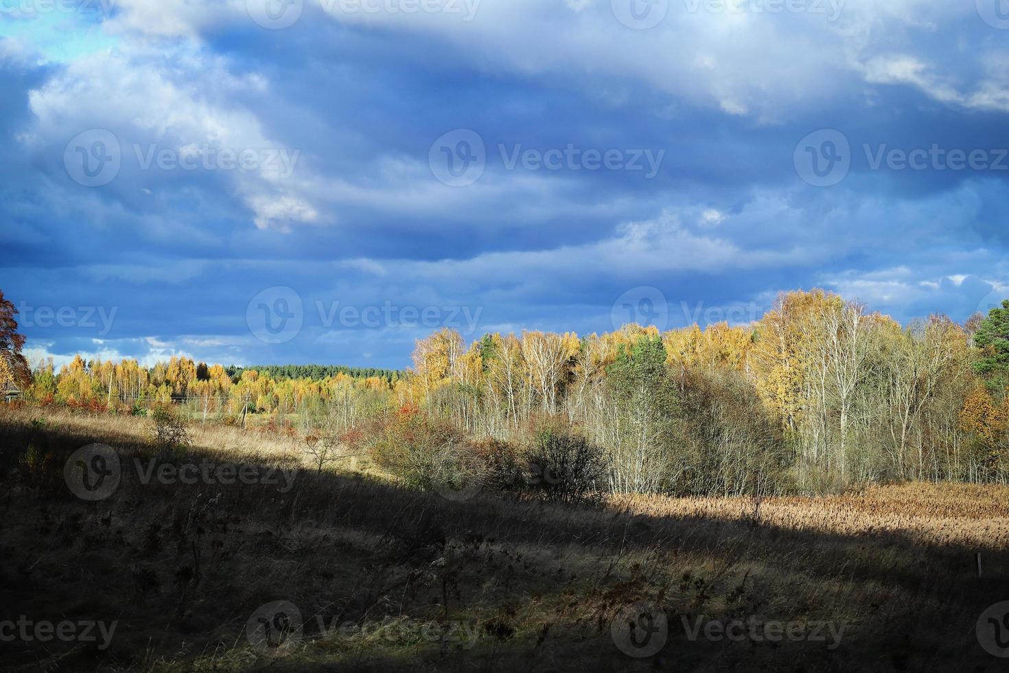 árboles forestales escena de otoño sobre el prado con cielo azul brillante con nubes pesadas blancas y grises con sombra oscura en el frente foto