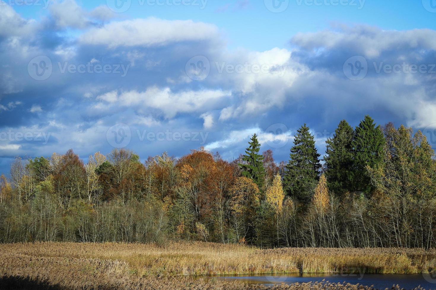 Forest trees autumn scene over the meadow with blue bright sky with white and grey heavy clouds photo