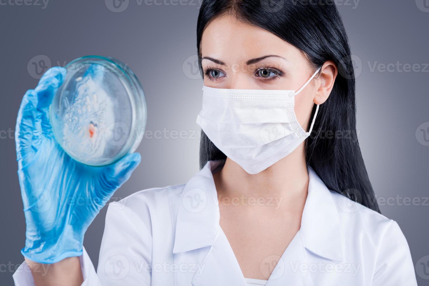 Making the analyze. Confident female doctor in white uniform holding Petri dish and looking at it while standing against grey background photo