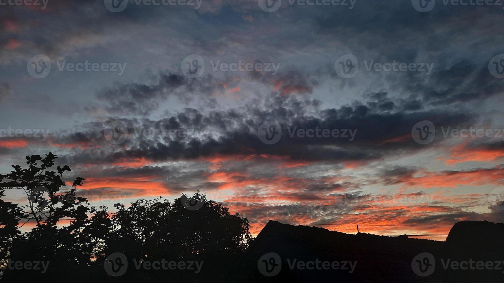 Evening sky background with pink clouds 01 photo