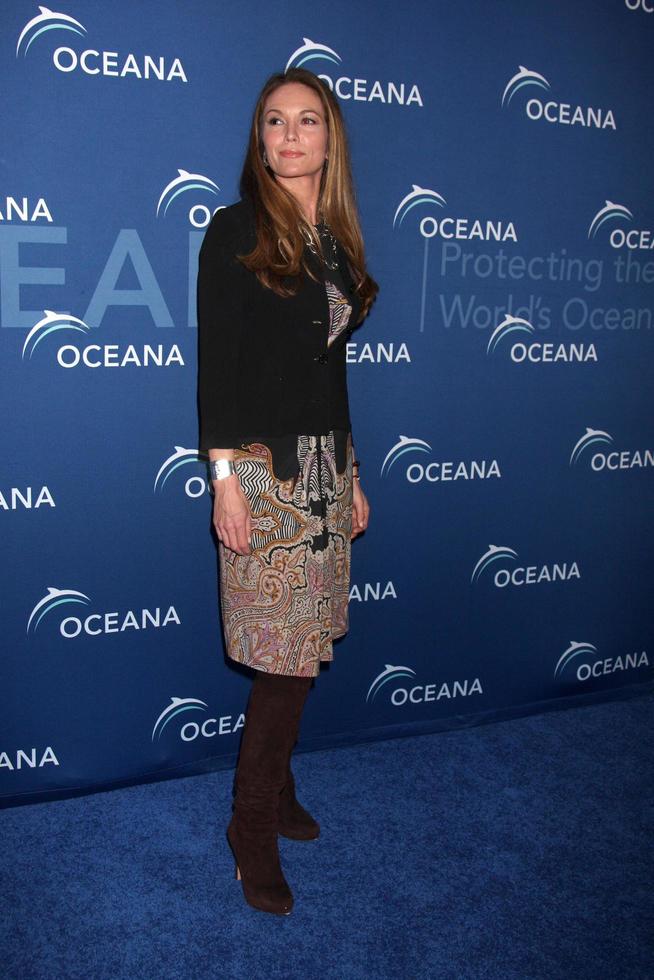 LOS ANGELES, OCT 30 - Diane Lane at the Oceana s Partners Awards Gala 2013 at Beverly Wilshire Hotel on October 30, 2013 in Beverly Hills, CA photo