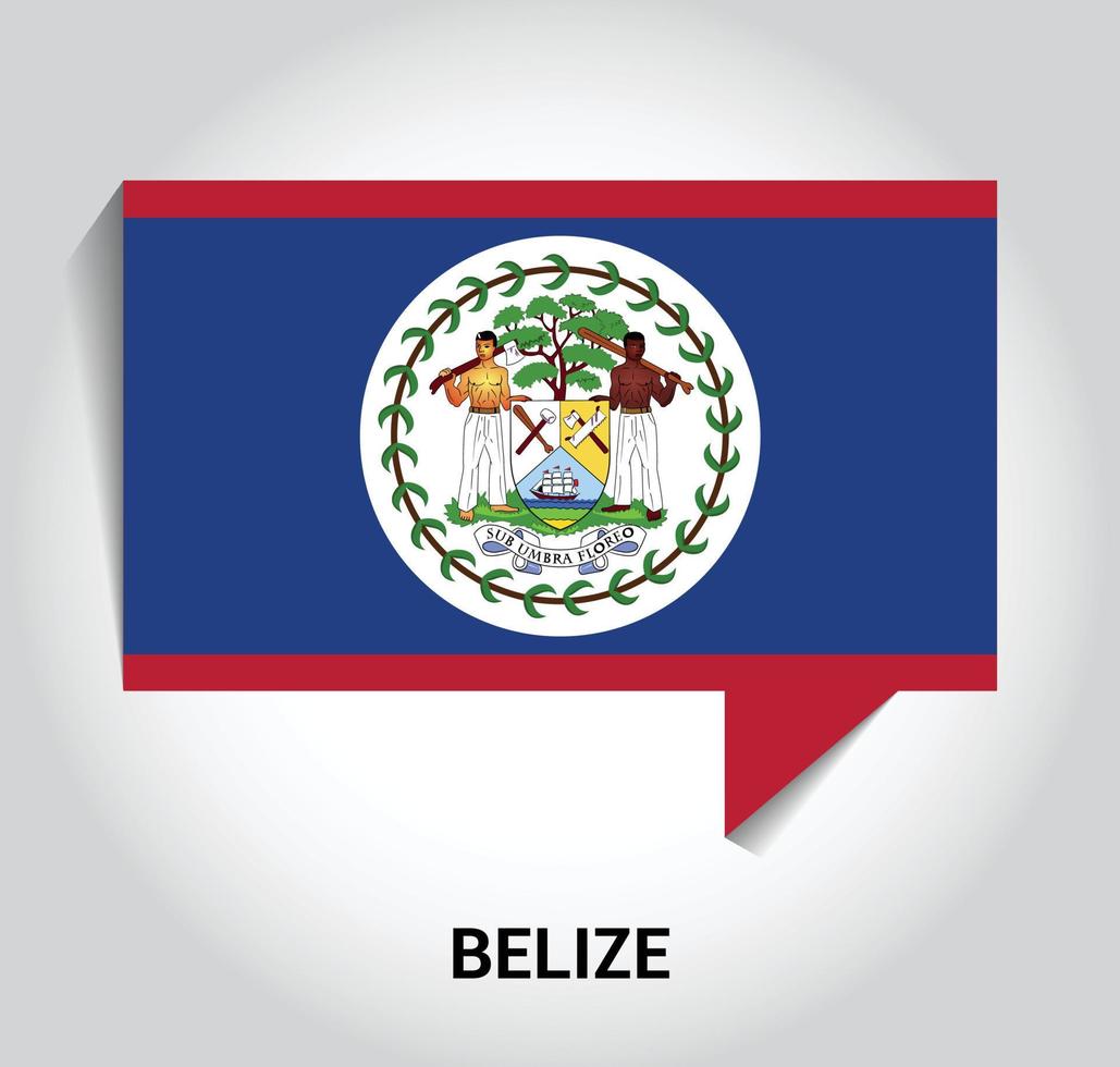 Belize flag design vector