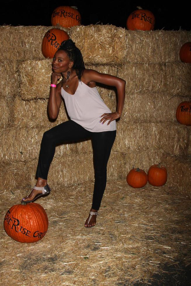 LOS ANGELES, OCT 4 - Erica Ash at the RISE of the Jack O Lanterns at Descanso Gardens on October 4, 2014 in La Canada Flintridge, CA photo