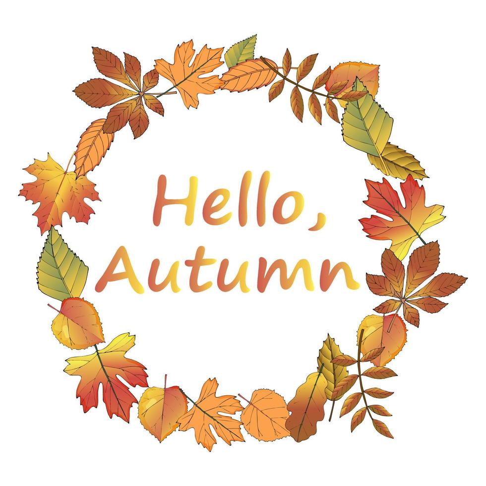Hello autumn.Autumn background with yellow and Golden leaves.The concept of the autumn mood.Theme of the autumn season.Vector illustration. vector