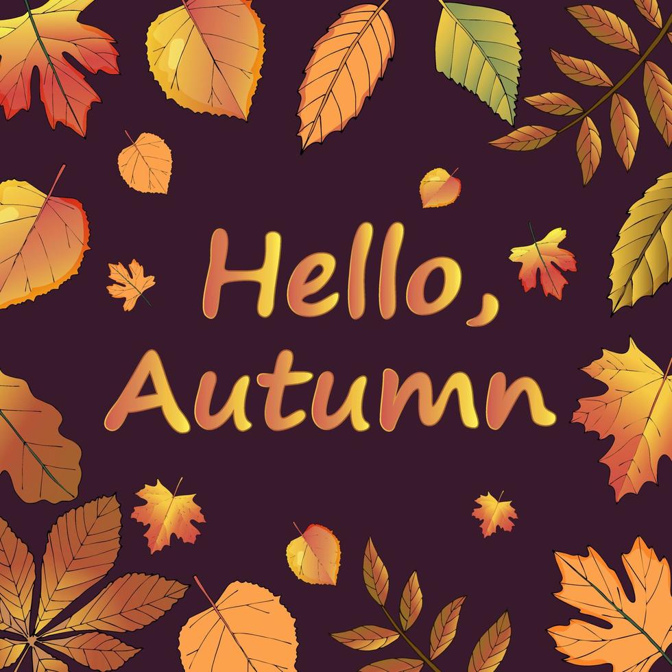 A postcard of their autumn leaves on a dark background.Autumn leaves are red green gold yellow and purple.Gold-tone lettering Hello autumn.Use a banner or design element as a postcard. vector