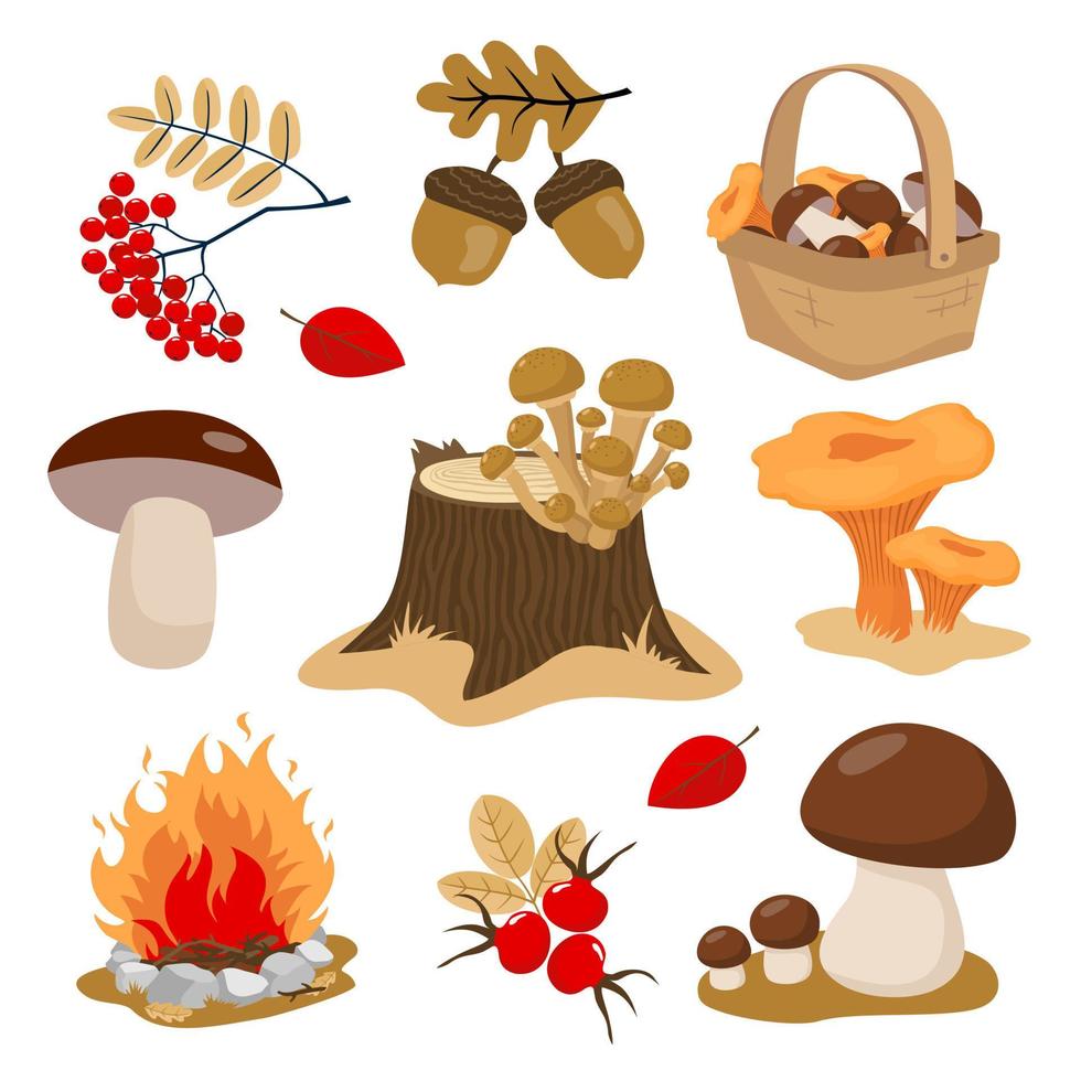 conjunto de elementos del bosque de otoño - boletus, cesta de setas, tocón, fogata, setas. vector