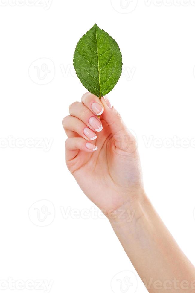 OK sign. Close-up of female hand gesturing OK sign while isolated on white photo