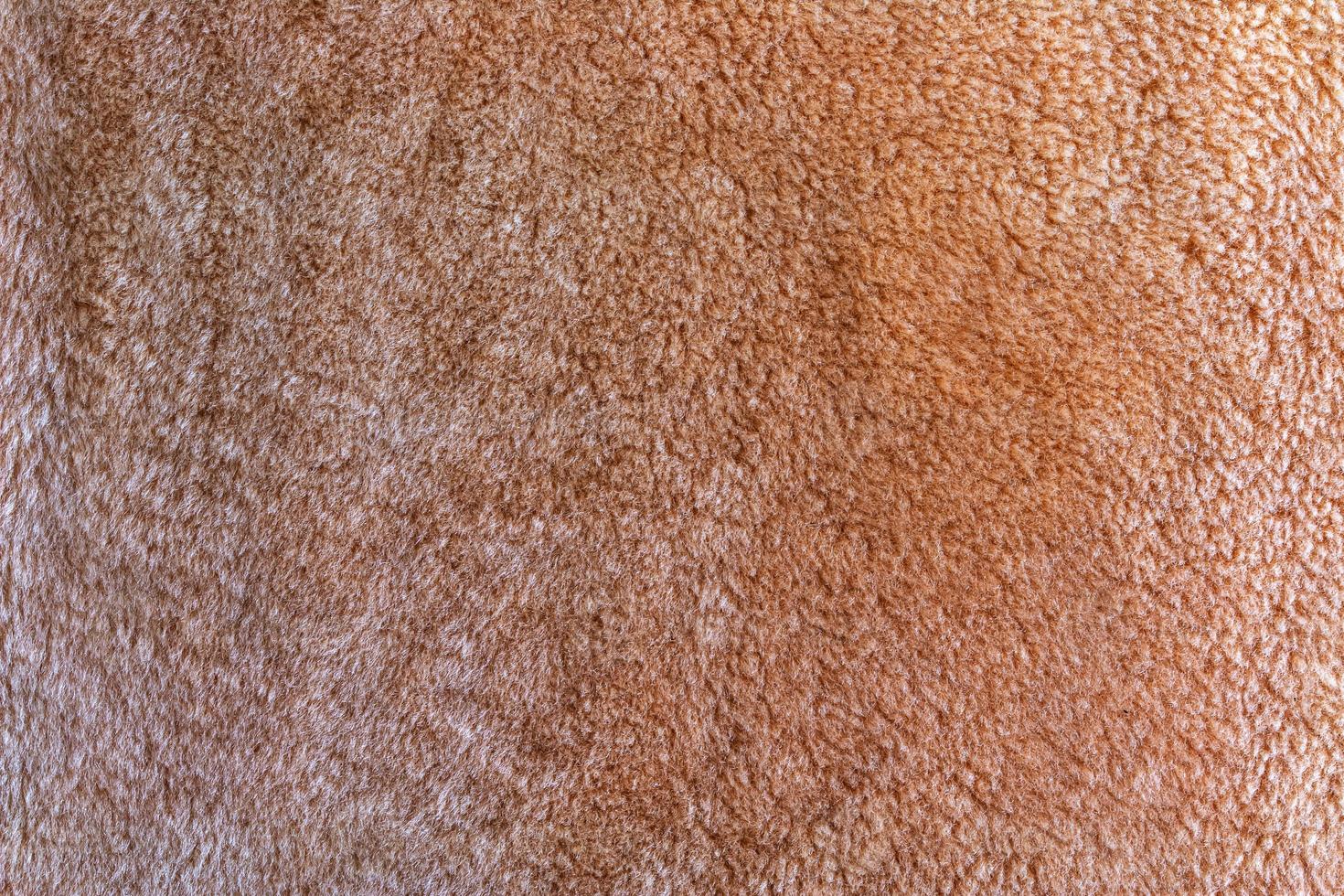 Background picture of a soft fur beige carpet. Wool sheep fleece closeup texture background. Top view. photo