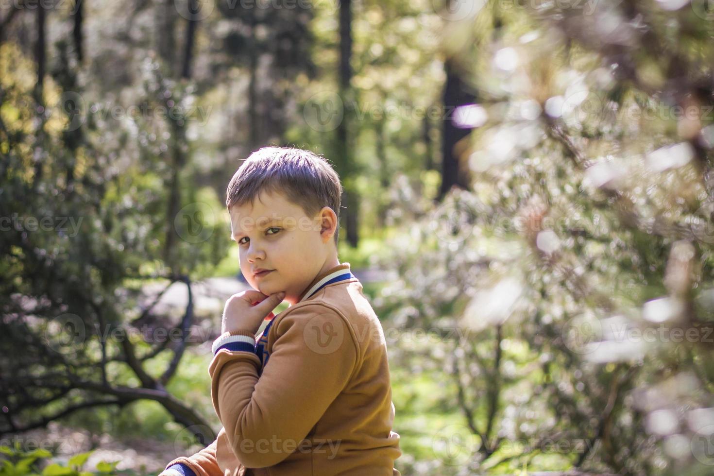 A cute young man is sitting and posing in a clearing in the forest. The sun's rays envelop the space of the clearing with a stump. Space for copying. photo