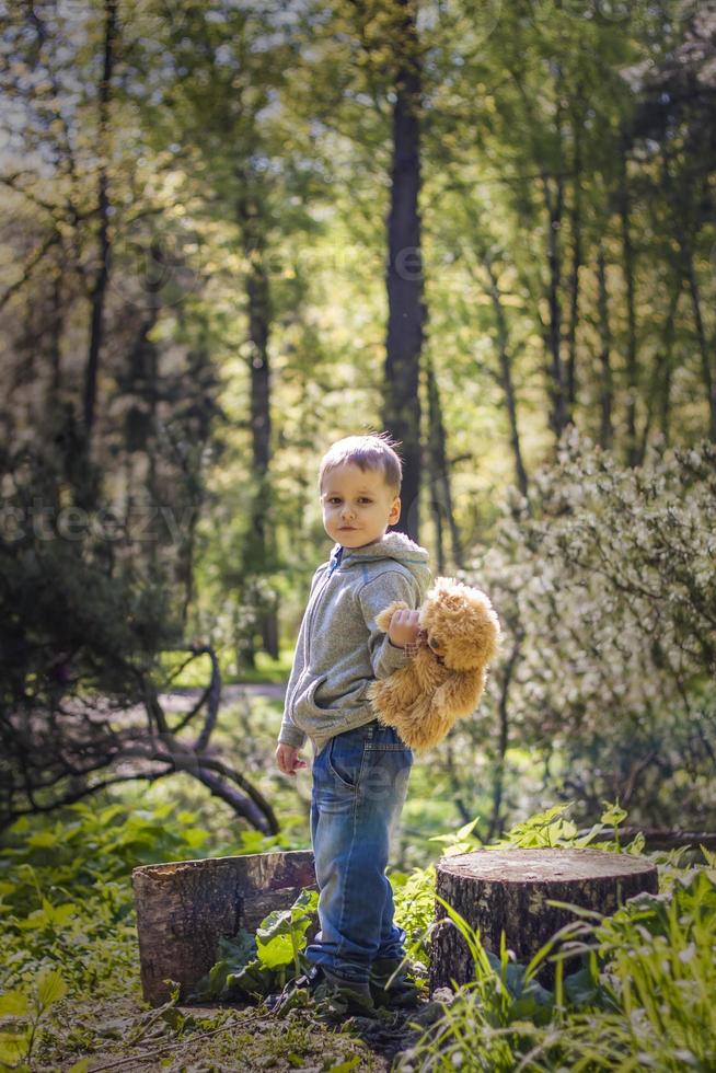 A cute boy is playing with a bear cub in the forest. The sun's rays envelop the space of the clearing with a stump. A magical story of interactions for the book. Space for copying. Selective photo