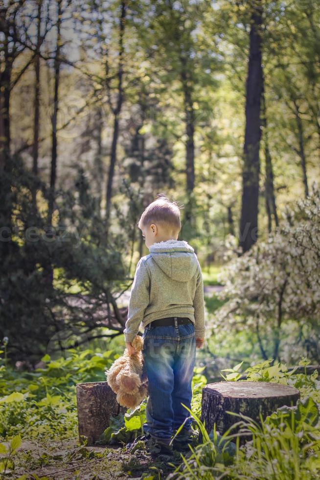 A cute boy is playing with a bear cub in the forest. The sun's rays envelop the space of the clearing with a stump. A magical story of interactions for the book. Space for copying. Selective photo