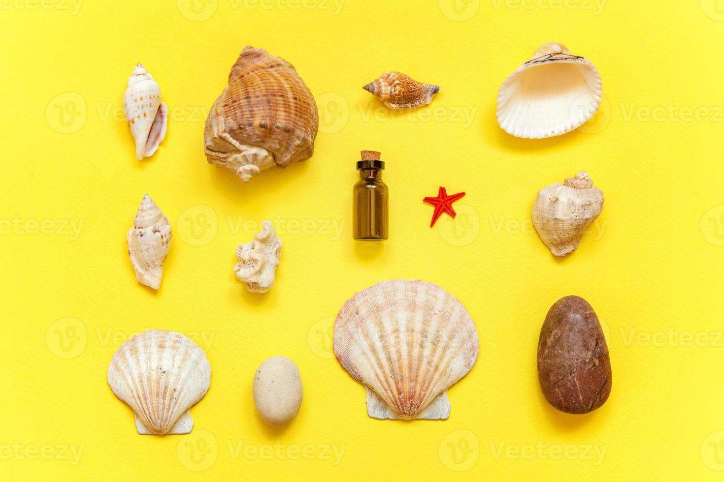 Tropical Background. Seashell and glass bottle on yellow colourful trendy modern fashion background. Vacation travel summer weekend sea adventure trip concept. photo