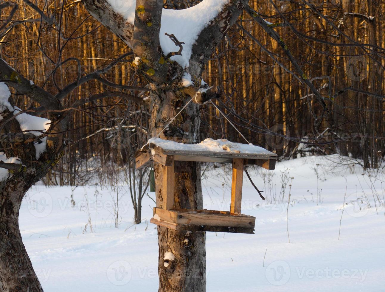 comedero casero para pájaros en un parque de invierno. cuidando animales. foto