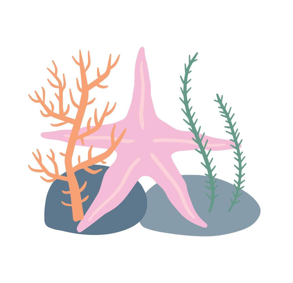 Starfish on seabed with rocks and algae. vector