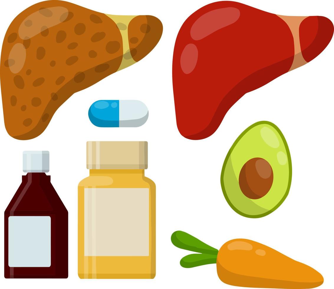 Healthy and diseased liver. Causes of illness the internal organ. Greasy Burger, alcohol beer, carrots, avocado. Medical diagnosis. Funny cartoon flat illustration. Set of Diet and good nutrition vector