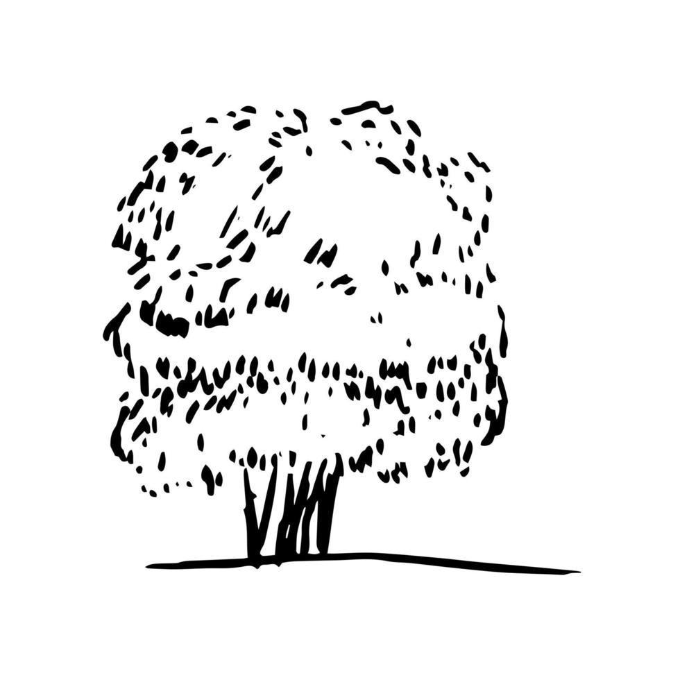 Hand drawn oak tree silhouette sketch vector
