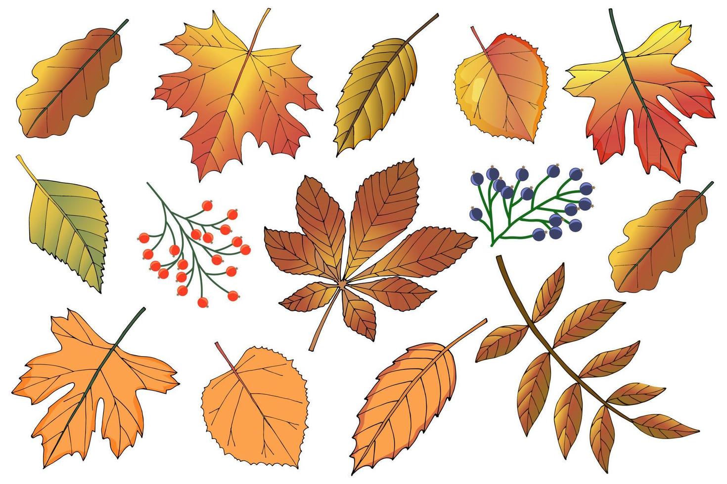 Set of autumn leaves.Autumn leaves hand-drawn.Flat vector illustration.