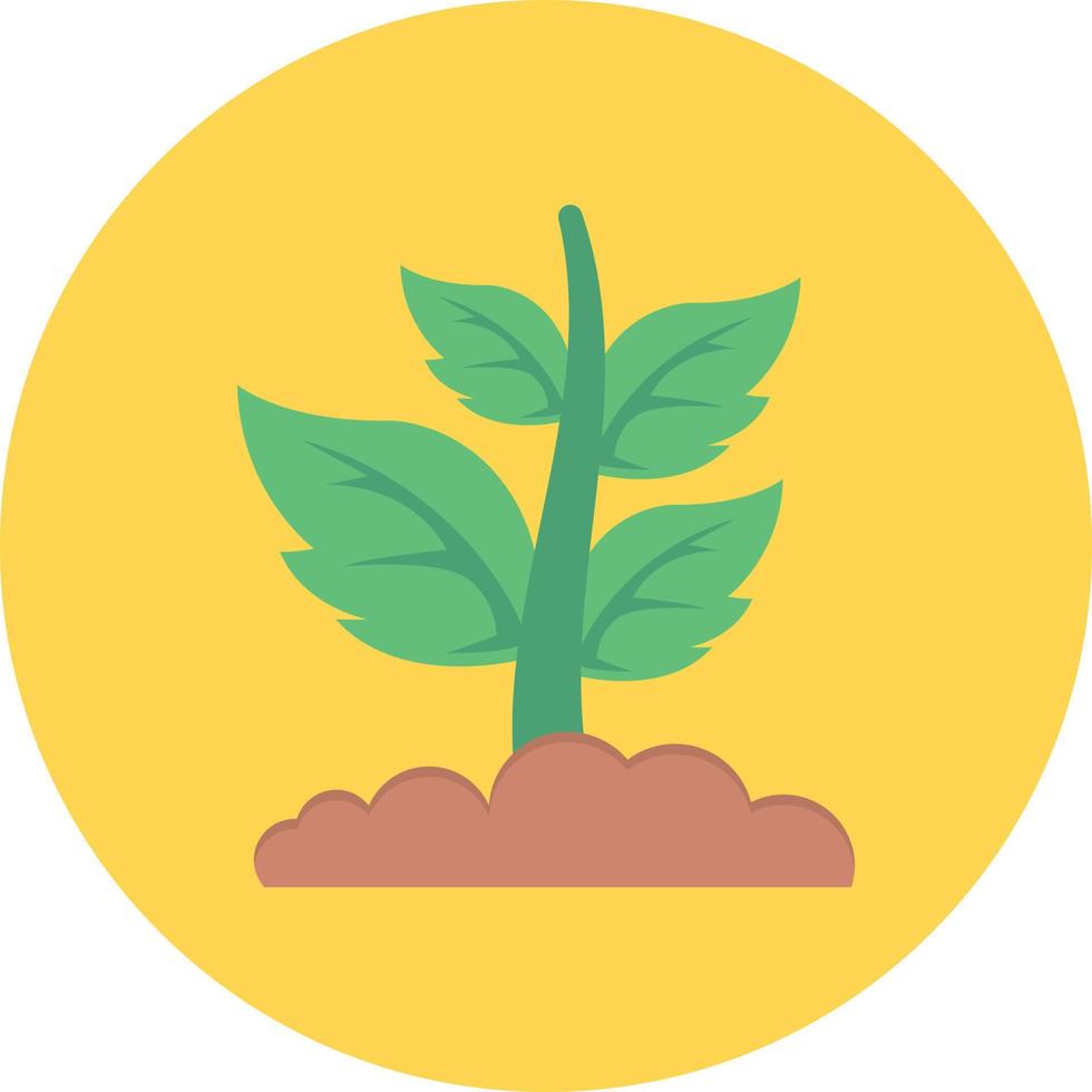 ilustración de vector de planta verde sobre un fondo. símbolos de calidad premium. iconos vectoriales para concepto y diseño gráfico.