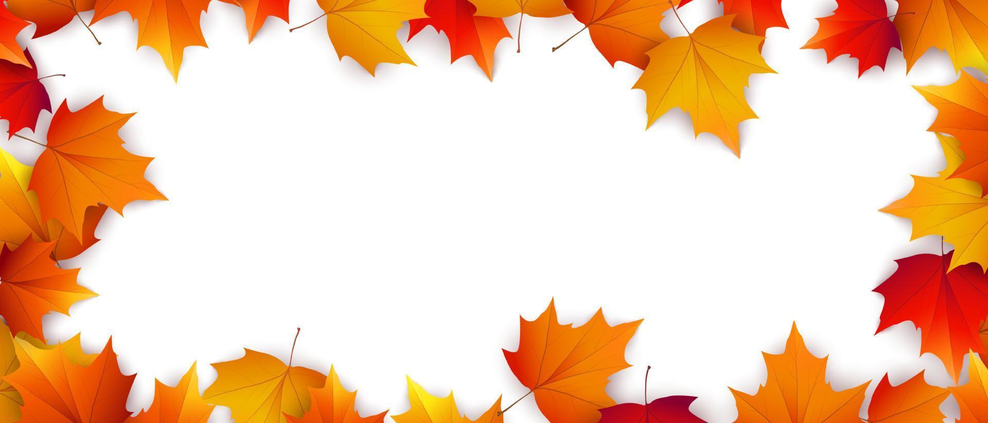 Autumn background with golden maple and oak leaves. Vector paper illustration.