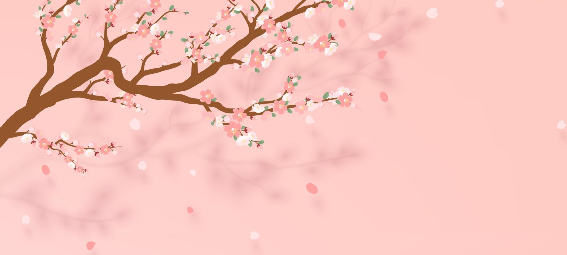 Blossoming branch of sakura Japanese cherry tree with falling petal