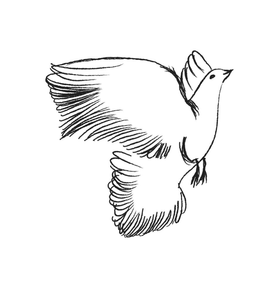 Sketch flying bird. Hand drawn vector illustration isolated. Engraving sparrow, titmouse, swallow in doodle style