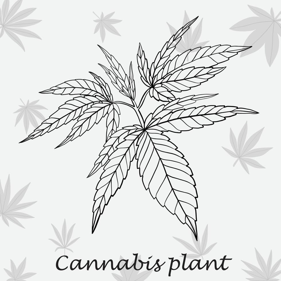 simplicidad planta de cannabis dibujo a mano alzada diseño plano. vector